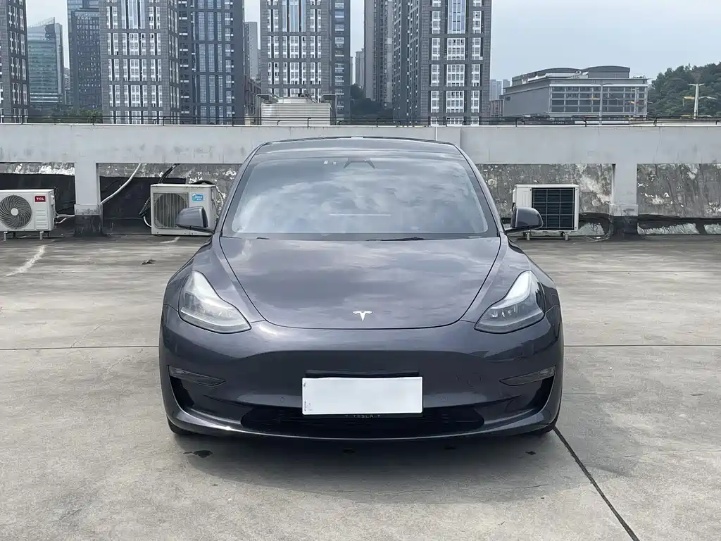 Tesla Model 3 2021 — фото 2