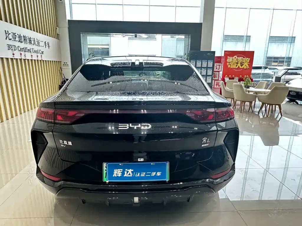 BYD Song L EV 2025 — фото 11