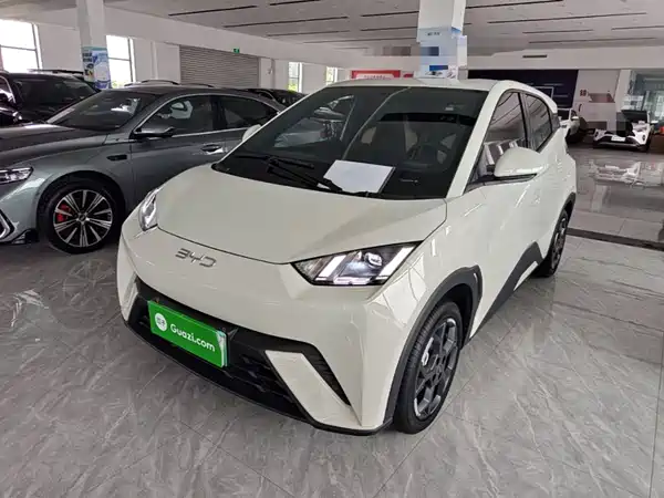 BYD Seagull 2024