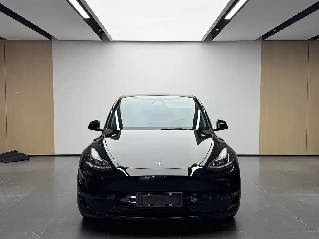 Tesla Model Y 2022 — фото 2