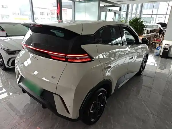 BYD Seagull 2024