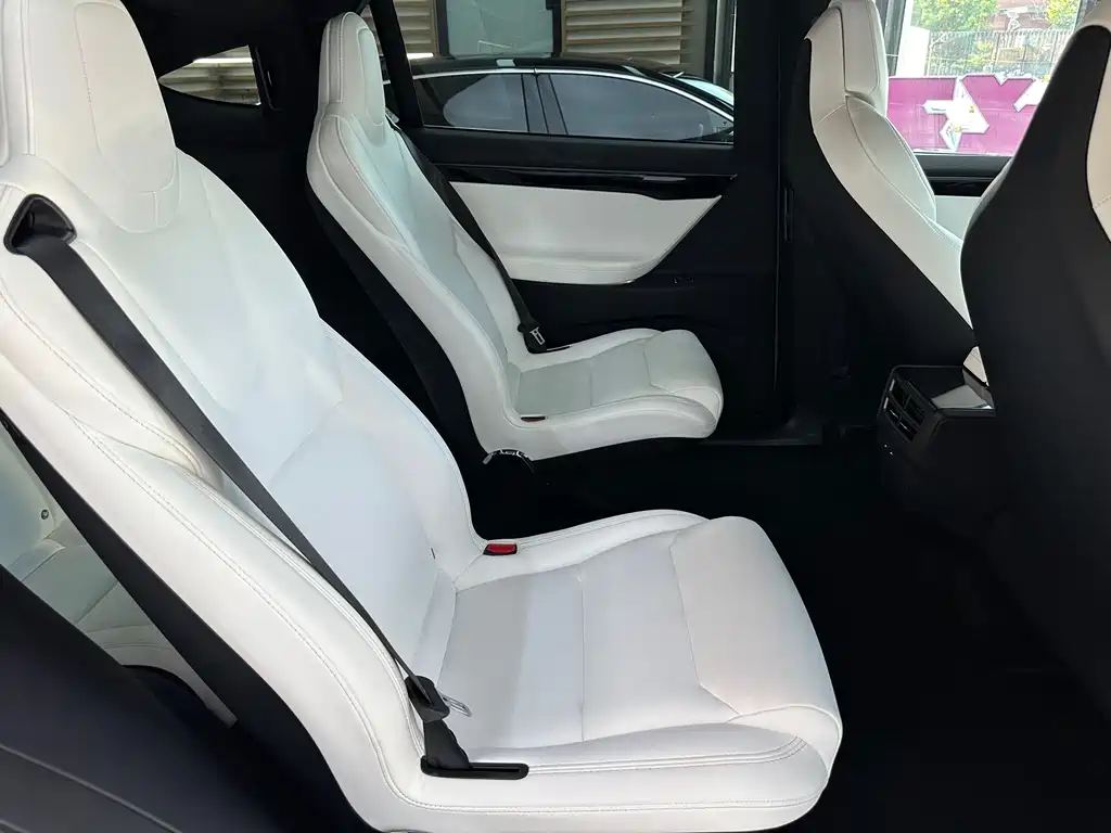 Tesla Model X 2019 — фото 20