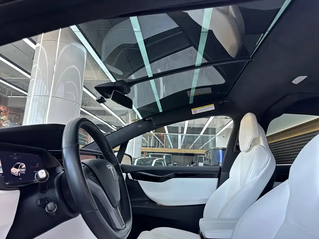 Tesla Model X 2019 — фото 15