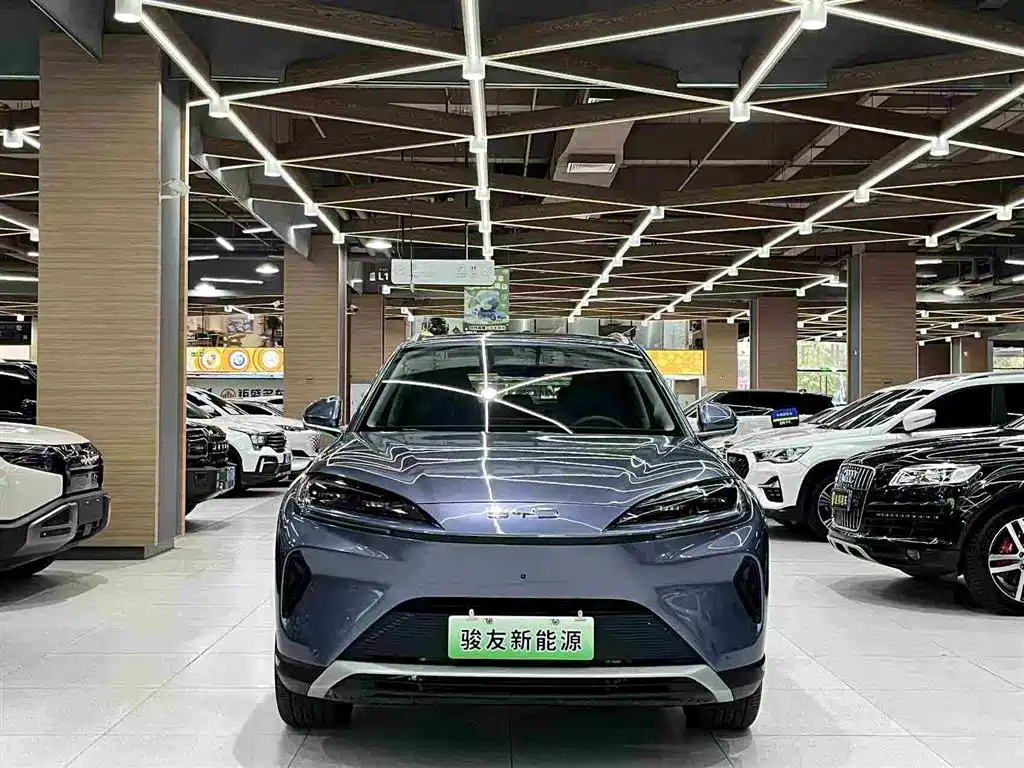 BYD Sealion 07 DM-i 2025 — фото 3