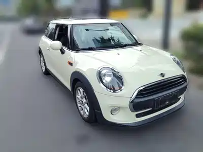 MINI MINI 2019