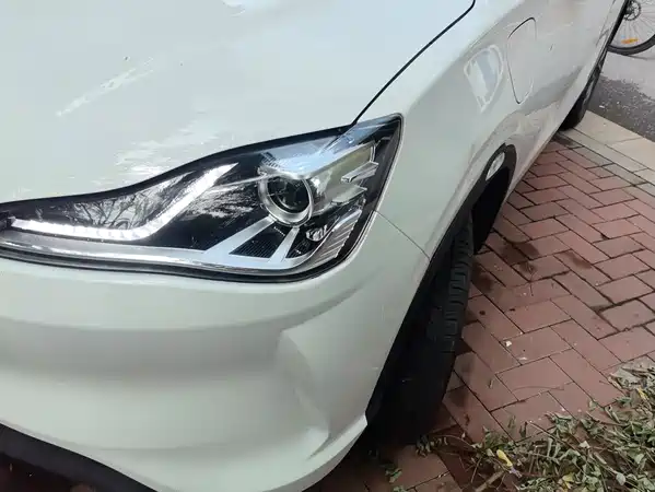 Neta V 2021