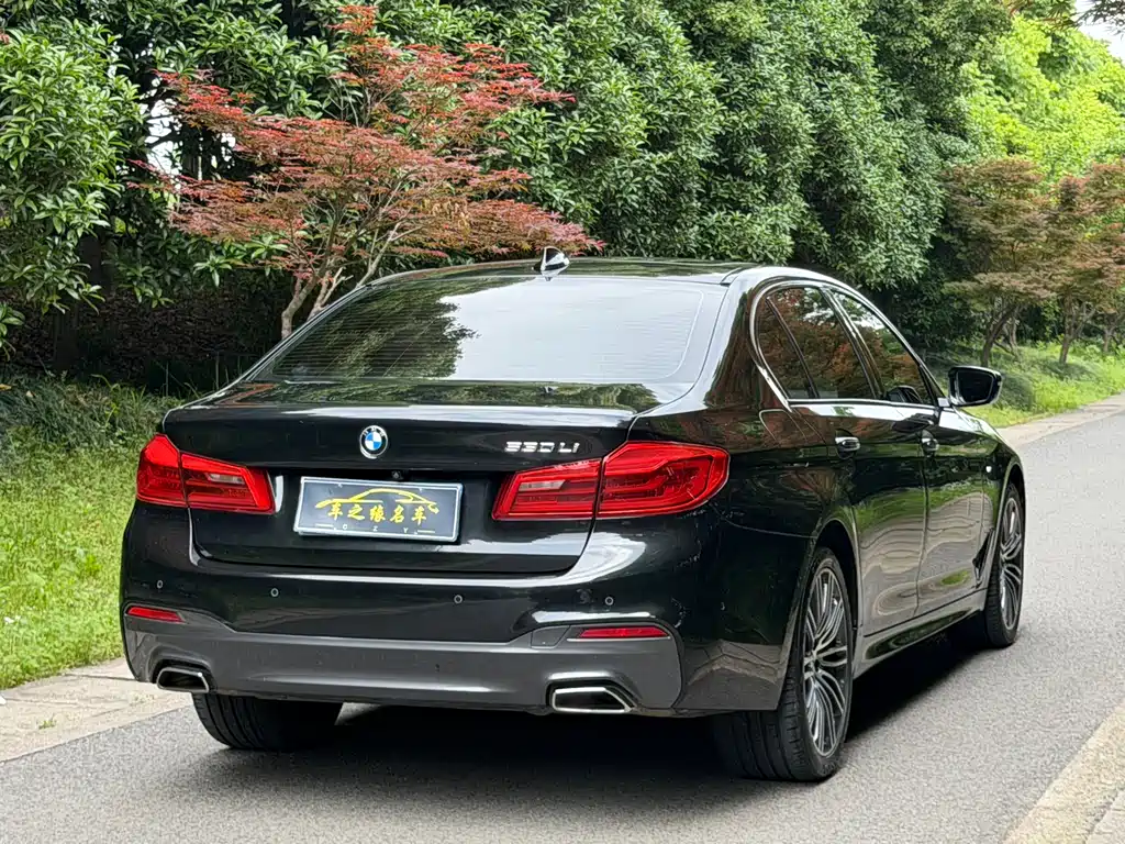 BMW 5 Series 2018 — фото 16