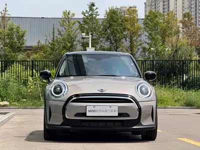MINI MINI 2024