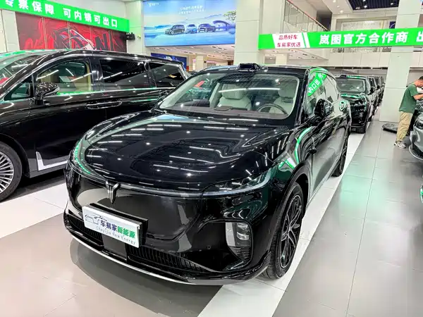 Voyah Zhiyin 2025