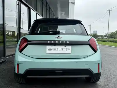 MINI MINI 2025