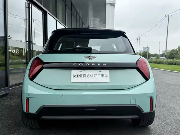 MINI MINI 2025