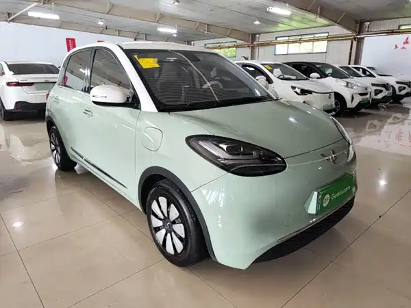 Wuling Bingo 2024