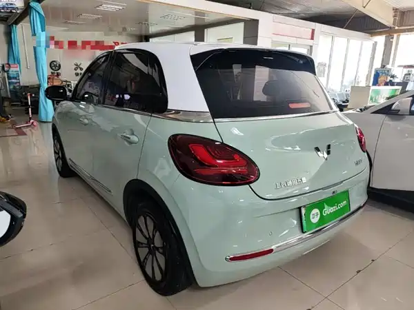 Wuling Bingo 2024