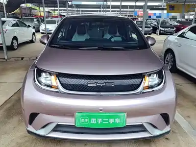 BYD Dolphin 2022