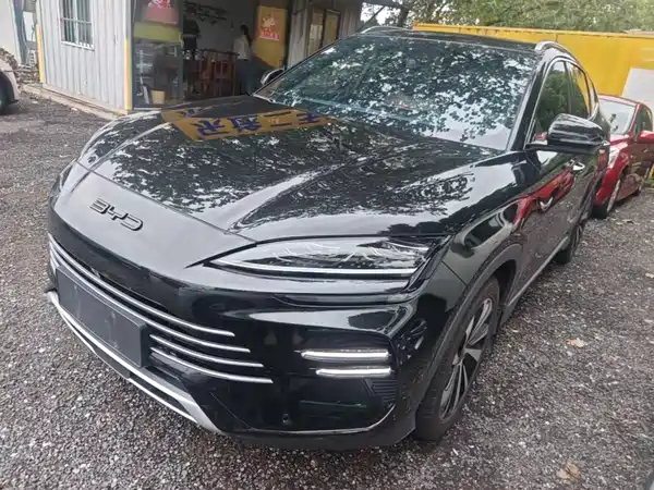 BYD Song PLUS New Energy 2024