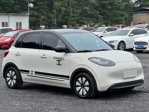 Wuling Bingo 2025
