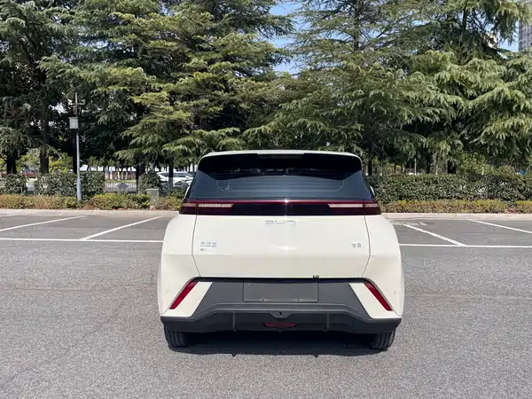 BYD Seagull 2024
