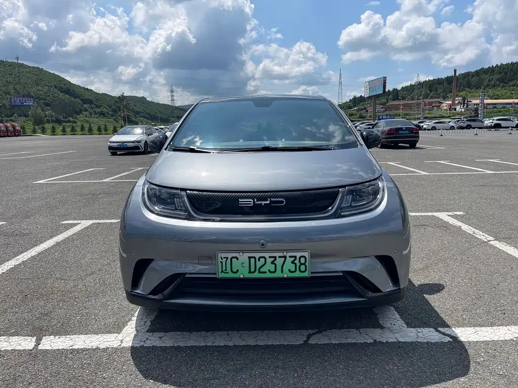 BYD Dolphin 2024