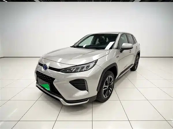 Toyota Weilanda New Energy 2021