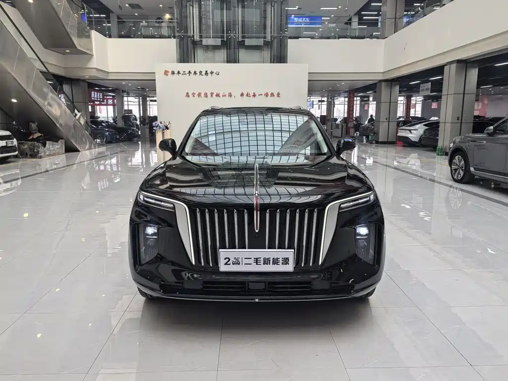 Hongqi E-HS9 2023