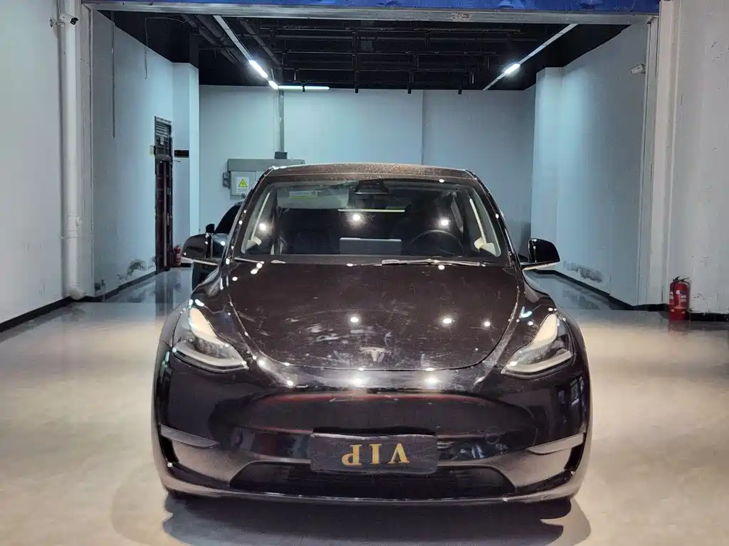 Tesla Model Y 2021 — фото 2