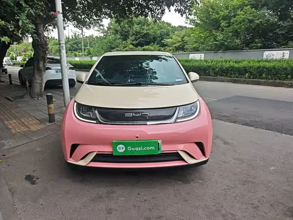 BYD Dolphin 2021