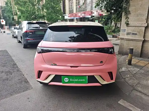 BYD Dolphin 2021