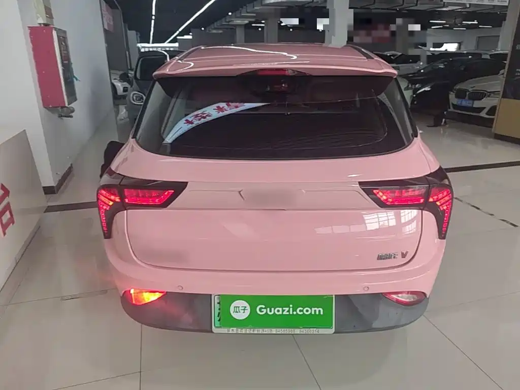 Neta V 2022