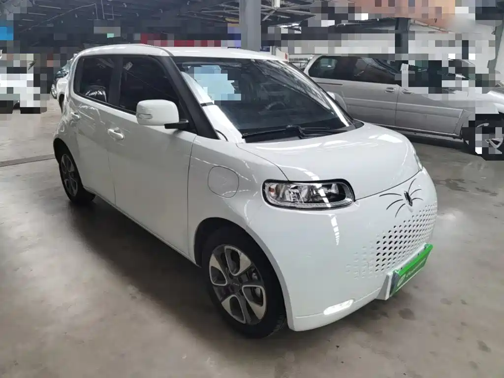 Ora White Cat 2021