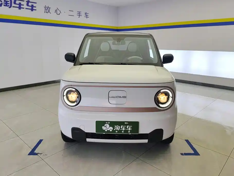 Geely Galaxy Panda 2024