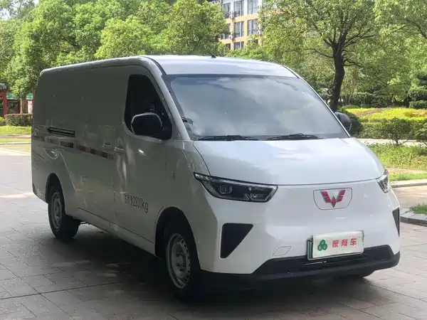 Wuling Yangguang 2024