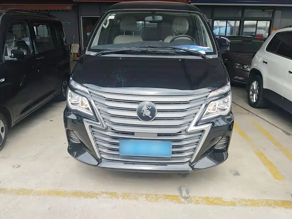 Fengxing Lingzhi 2024