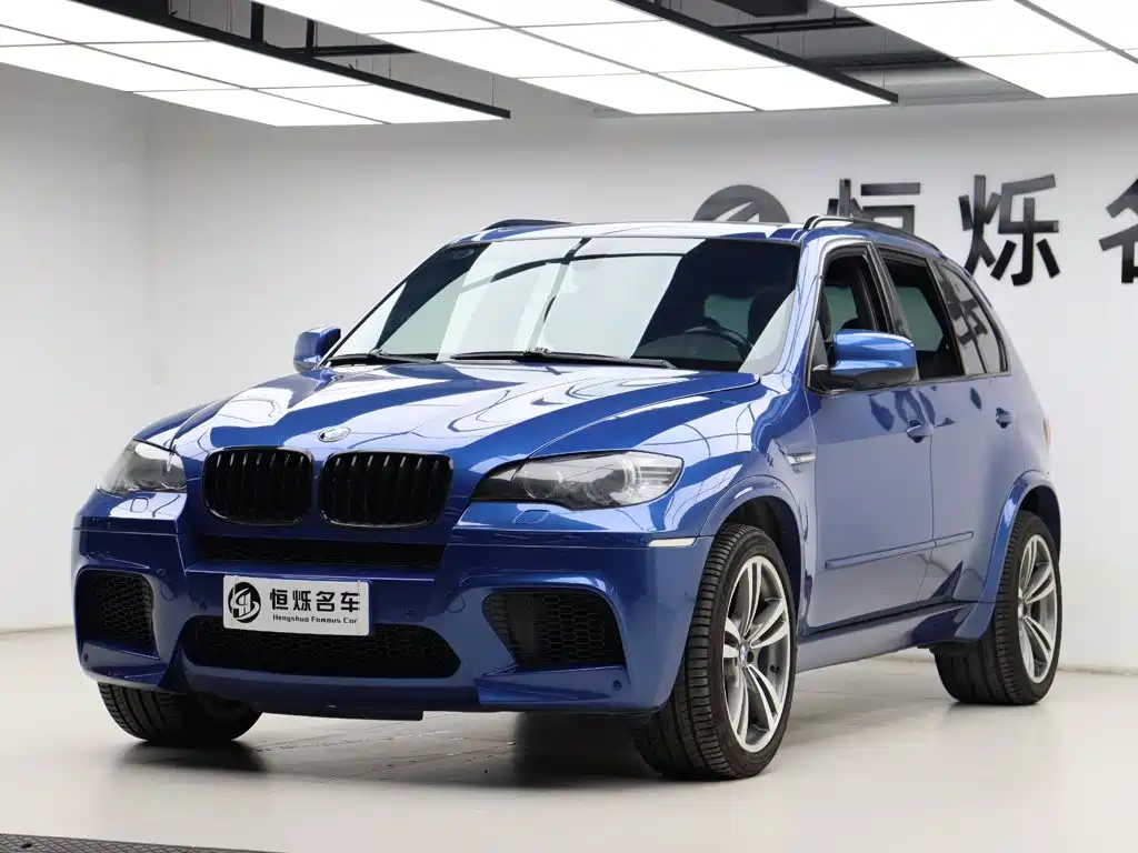BMW X5 M 2010 — фото 27