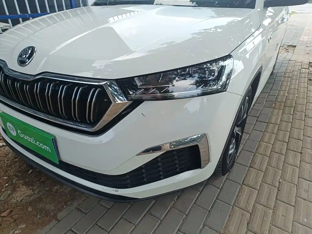 Skoda Kamiq 2020 — фото 24