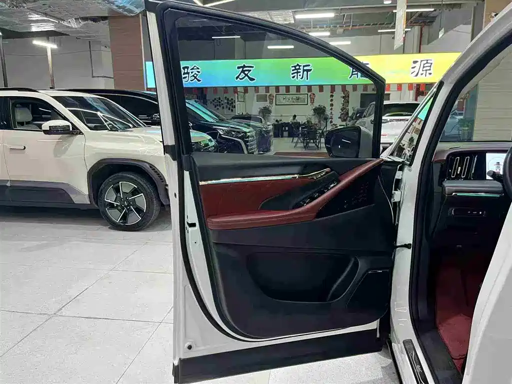 GAC Motor Trumpchi E9 2024 — фото 20
