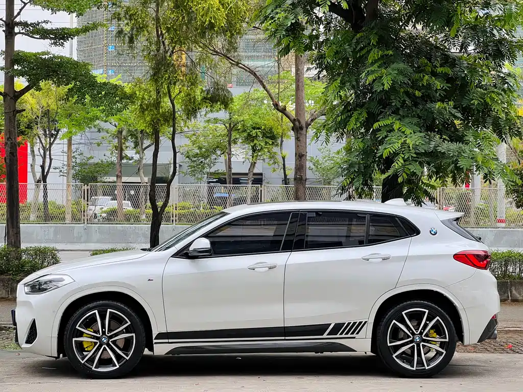 BMW X2 2020 — фото 9