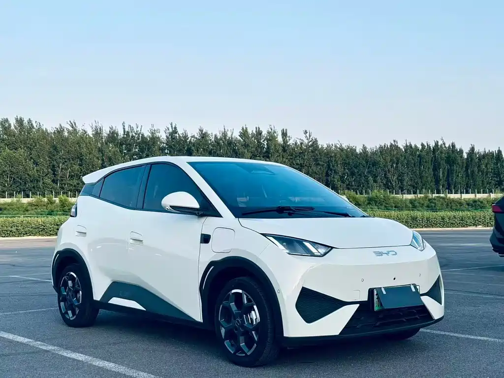 BYD Seagull 2025