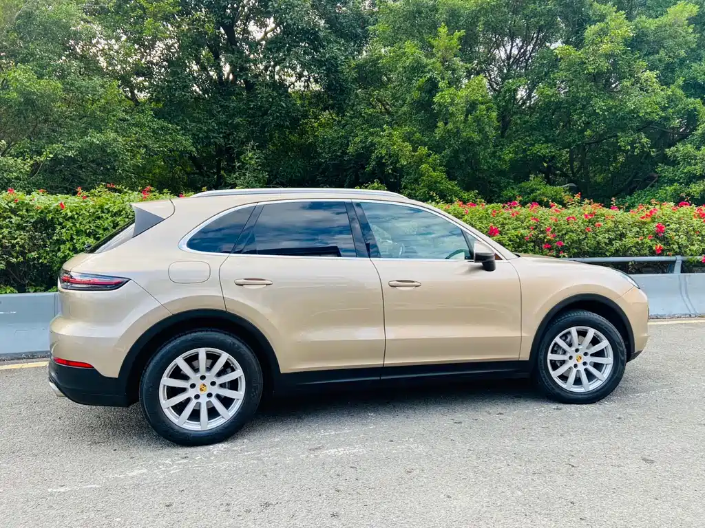Porsche Cayenne 2019 — фото 11