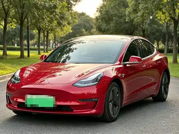 Tesla Model 3 2019