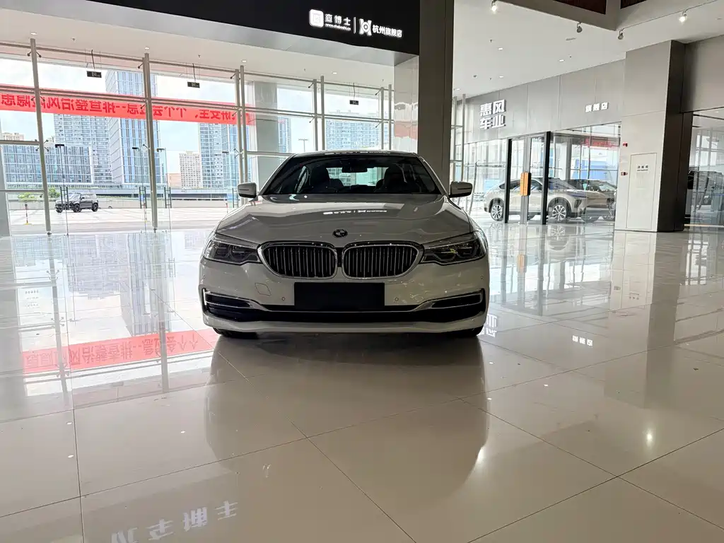 BMW 5 Series New Energy 2019