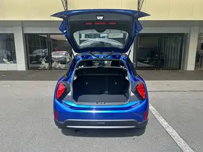 MINI MINI 2025