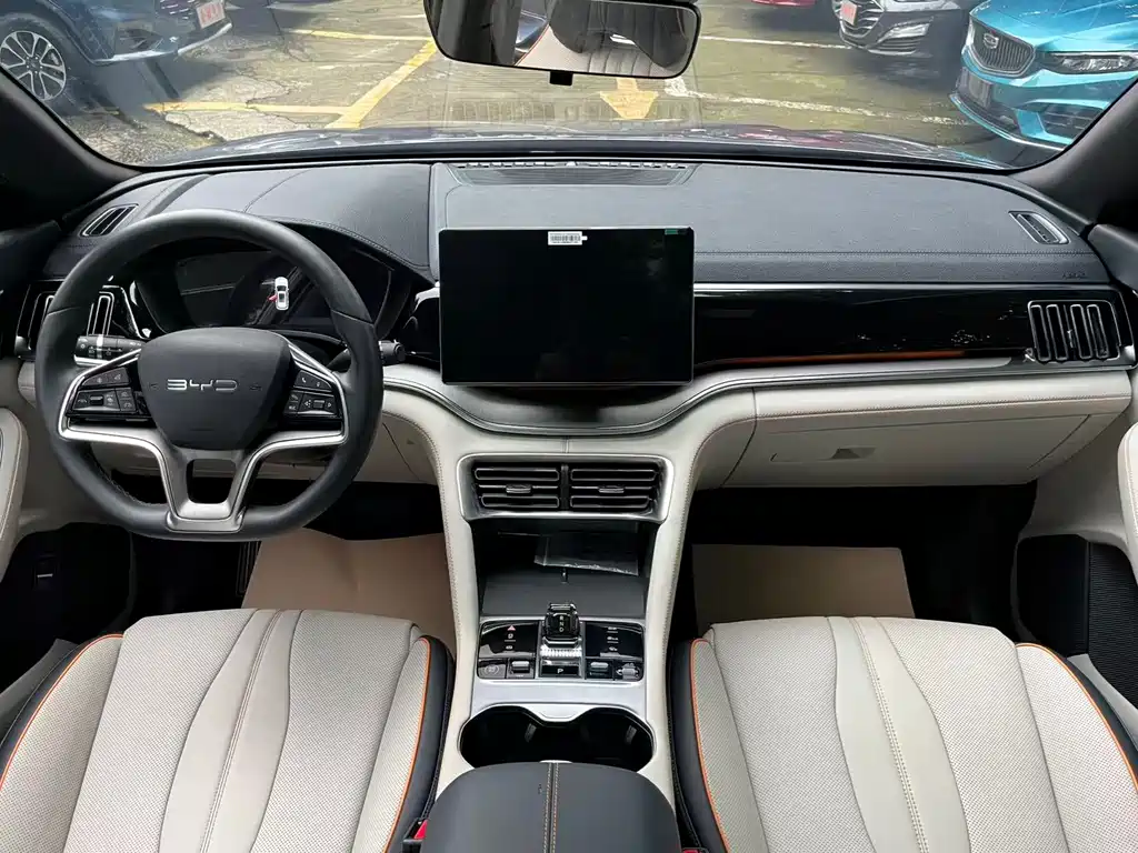 BYD PLUS New Energy 2024 — фото 11