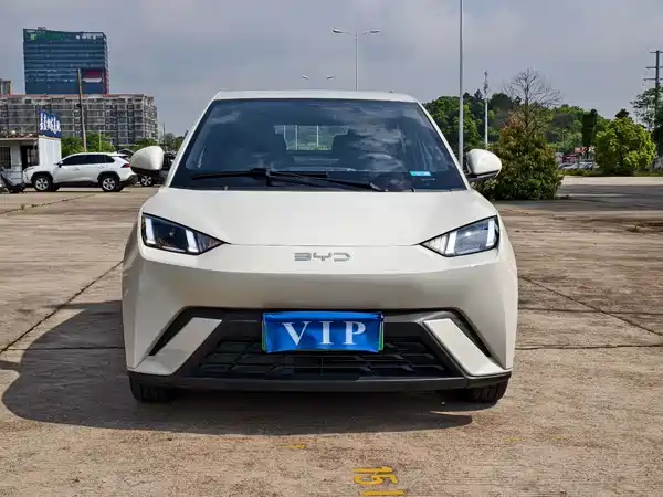 BYD Seagull 2024