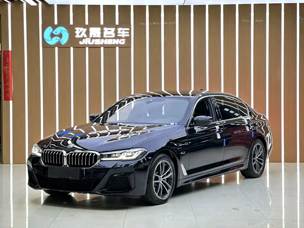 BMW 5 Series New Energy 2022