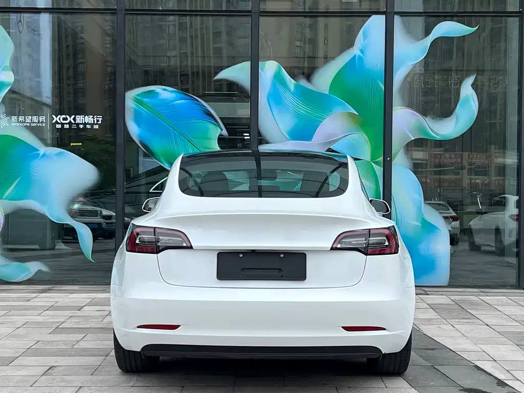 Tesla Model 3 2020 — фото 15