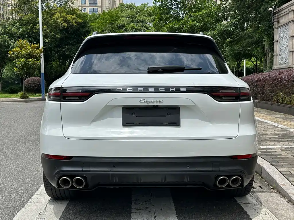 Porsche Cayenne 2020 — фото 13