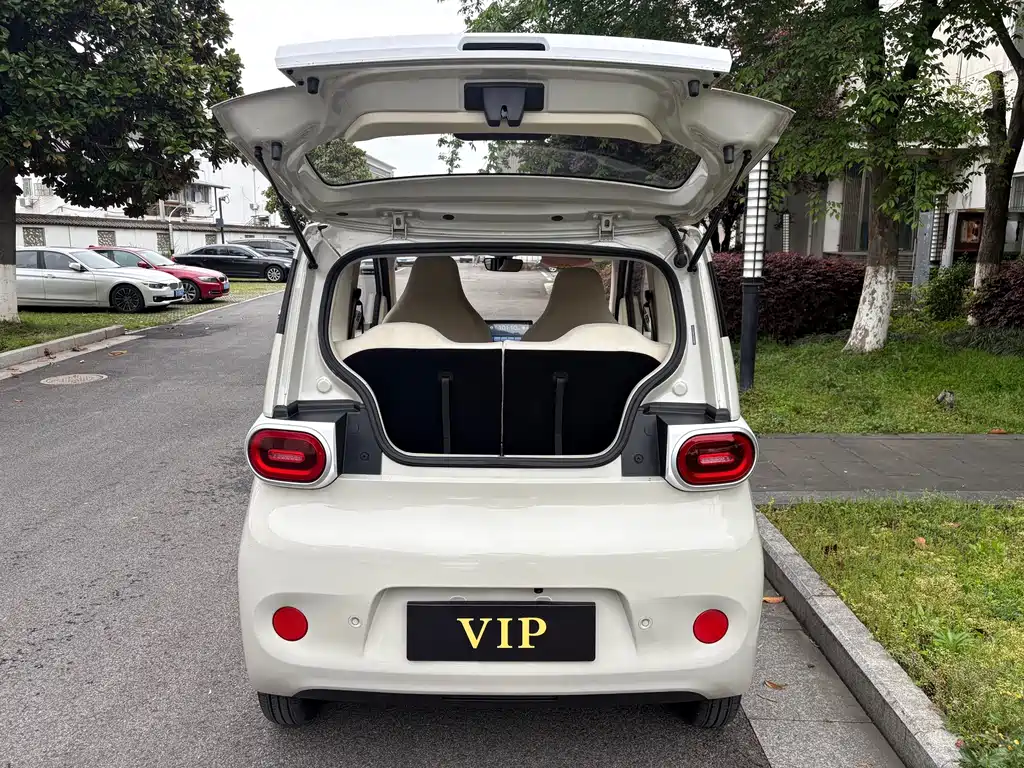 Wuling Hongguang MINIEV 2024