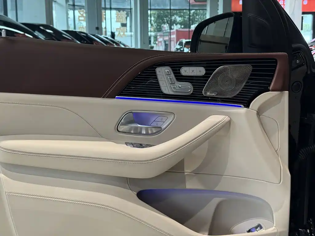 Mercedes-Benz Maybach GLS 2025 — фото 13