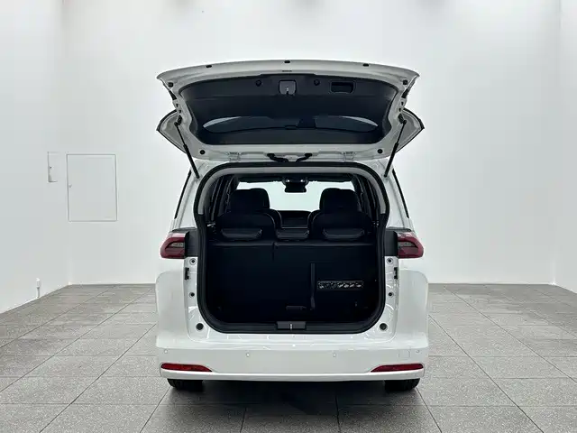 GAC Trumpchi M6 2024 — фото 15