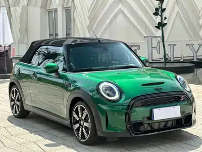 MINI MINI 2024